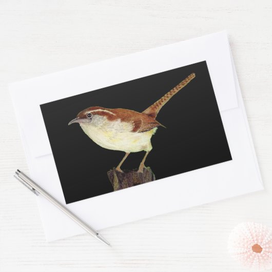 Wren Rechthoekige Sticker (Envelop)