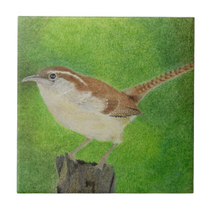 Wren Tegeltje