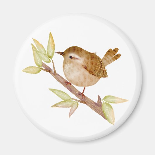 Wren Vogel Magneten (Voorkant)