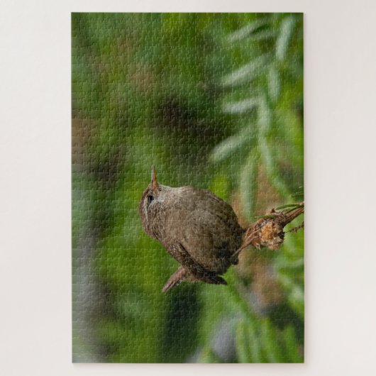 Wren (Winterkoninkje) Legpuzzel (Verticaal)