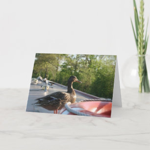 Wrenbury Duck Llangollen Canal Notecard Kaart