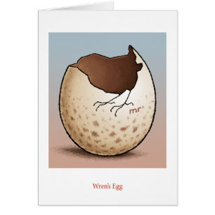 Wren's Egg Card