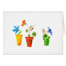 Wrens en bloempotten