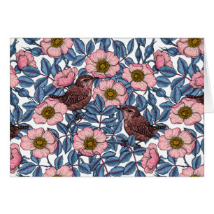 Wrens en rose