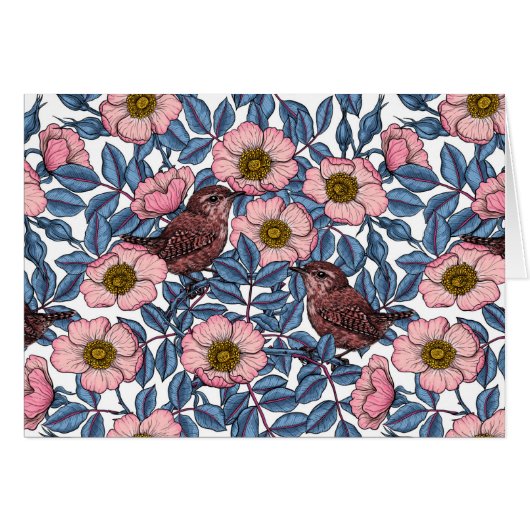 Wrens en rose (Devant horizontal)