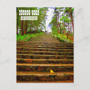 Wright Park van Baguio Briefkaart