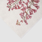 Wright Pentstemon van Mary Vaux Walcott Tissuepapier (Detail)