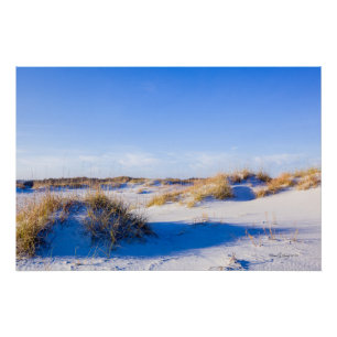 Wright tsville Beach Dunes Perfect Poster
