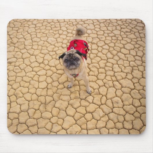 "Wrinkles on Cracks" Funny Adventure Pug Muismat (Voorkant)