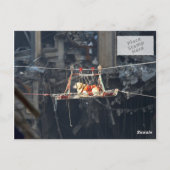 WTC6 image 2 sur le dos non brillant de la carte p (Dos)