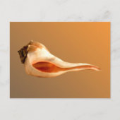 Wulk links briefkaart (Voorkant)