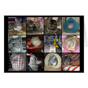 Wunderchins 2012-kaart