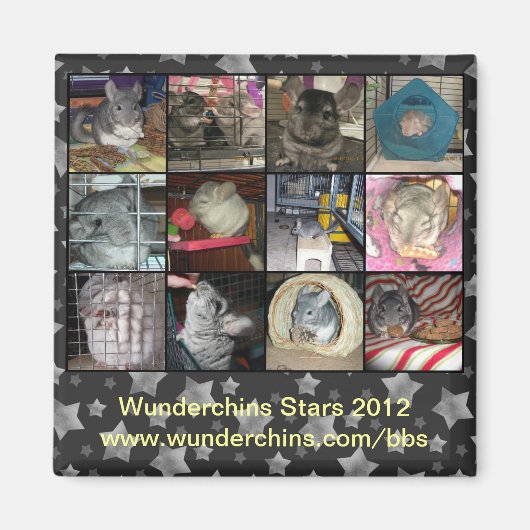 Wunderchins 2012 magneet (Voorkant)