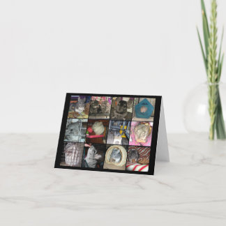 Wunderchins 2012 notecards kaart