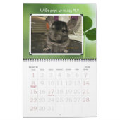 Wunderchins-kalender 2012 kalender (Mar 2026)
