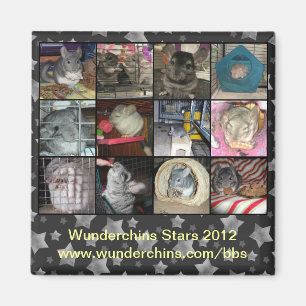 Wunderchins magnet 2012 magneet