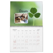 Wunderchins Pets 2012 kalender (Mar 2027)