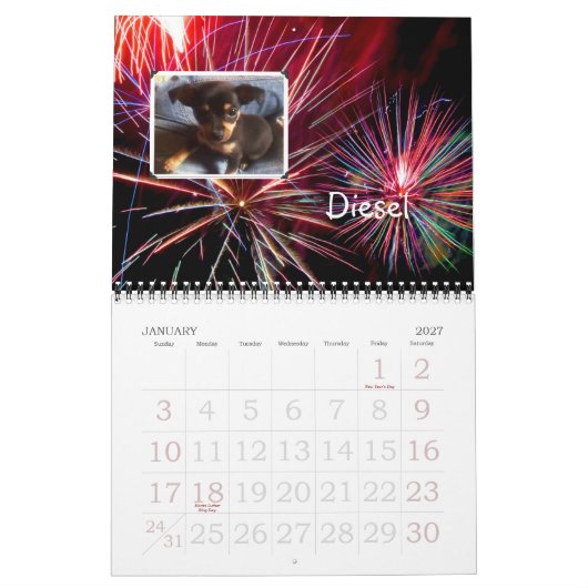 Wunderchins Pets 2012 kalender (Jan 2027)