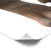 Wunderschöner Säbelzahntiger  Foto Afdruk (Hoek)