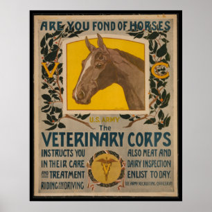WW1 VINTAGE Vet. POSTER DU Corps