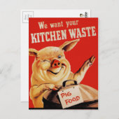  WW2-varken Briefkaart (Voorkant / Achterkant)