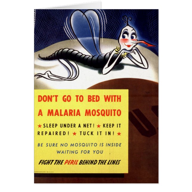 WWII Malaria Mosquito (Voorkant)