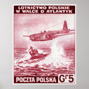 WWII Poolse luchtmacht Poster