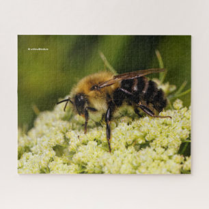 WWN Bumblebee op Bloeiende Wortel Legpuzzel