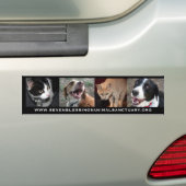 www.sevenblessingsanimalsanctuary.org bumpersticker (Op auto)