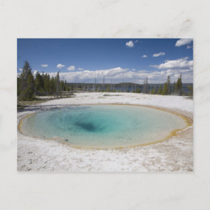 WY, Yellowstone National Park, West Thumb Geyser Briefkaart