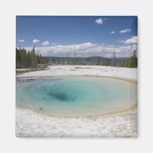 WY, Yellowstone National Park, West Thumb Geyser Magneet