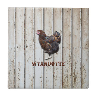 Wyandotte Chicken Tegeltje