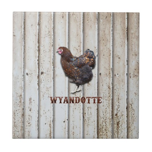 Wyandotte Chicken Tegeltje (Voorkant)