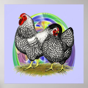 Wyandotte: Paaseihaar Poster