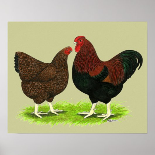 Wyandotte: Partridge Pair Poster (Voorkant)
