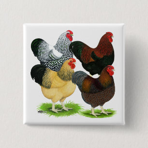 Wyandotte: Rooster Assortment Vierkante Button 5,1 Cm