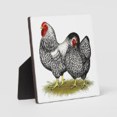 Wyandotte: Silver Pair Fotoplaat (Voorkant)