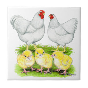 Wyandotte Witte Kippen Familie Tegeltje