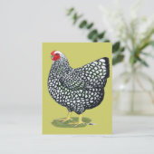 Wyandotte: Zilverlaced Hen Briefkaart (Staand voorkant)