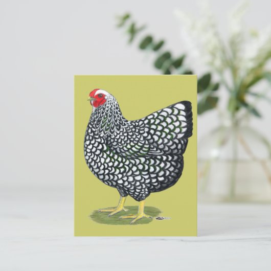 Wyandotte:  Zilverlaced Hen Briefkaart (Staand voorkant)