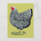 Wyandotte:  Zilverlaced Hen Briefkaart (Voorkant)