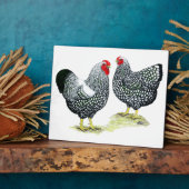 Wyandottes Silver-laced Pair Fotoplaat (Zijkant)