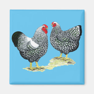 Wyandottes Silver-laced Pair Magneet