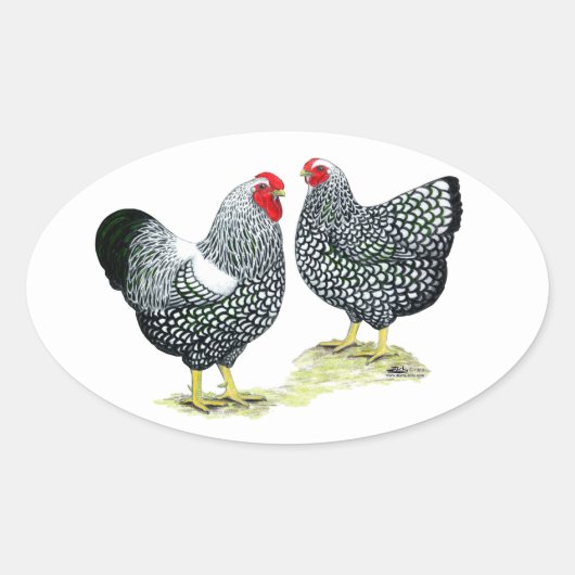 Wyandottes Silver-laced Pair Ovale Sticker (Voorkant)