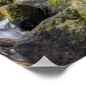 Wyming Brooke, Sheffield Poster (Hoek)