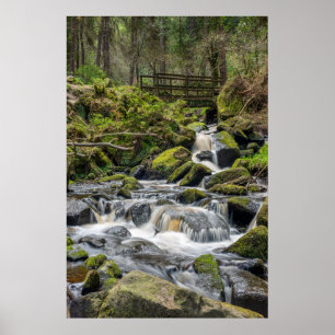 Wyming Brooke, Sheffield Poster