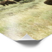 Wyoming Bison Nature Animal Photographie (Coin)