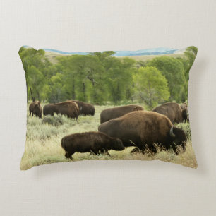 Wyoming Bison Natuur Animal Fotografie Accent Kussen