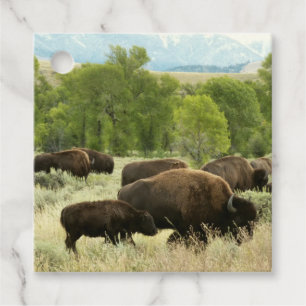 Wyoming Bison Natuur Animal Fotografie Bedankjes Labels