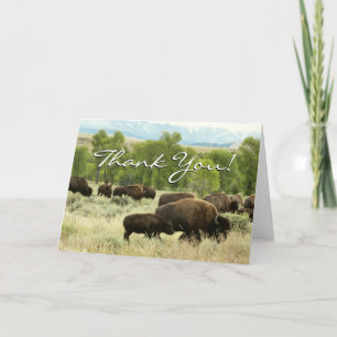 Wyoming Bison Natuur Animal Fotografie Bedankkaart